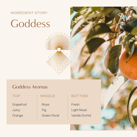 Goddess: Coconut Soy Wax Candle