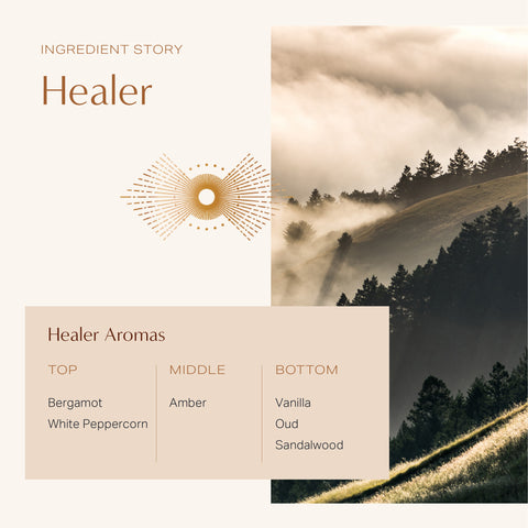 Healer: Coconut Soy Wax Candle