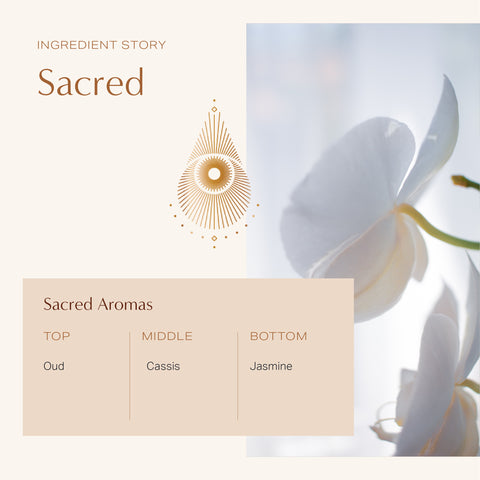 Sacred: Coconut Soy Wax Candle