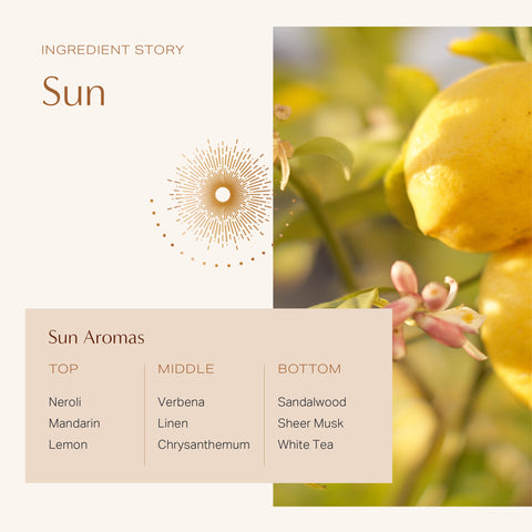 Sun: Coconut Soy Wax Candle